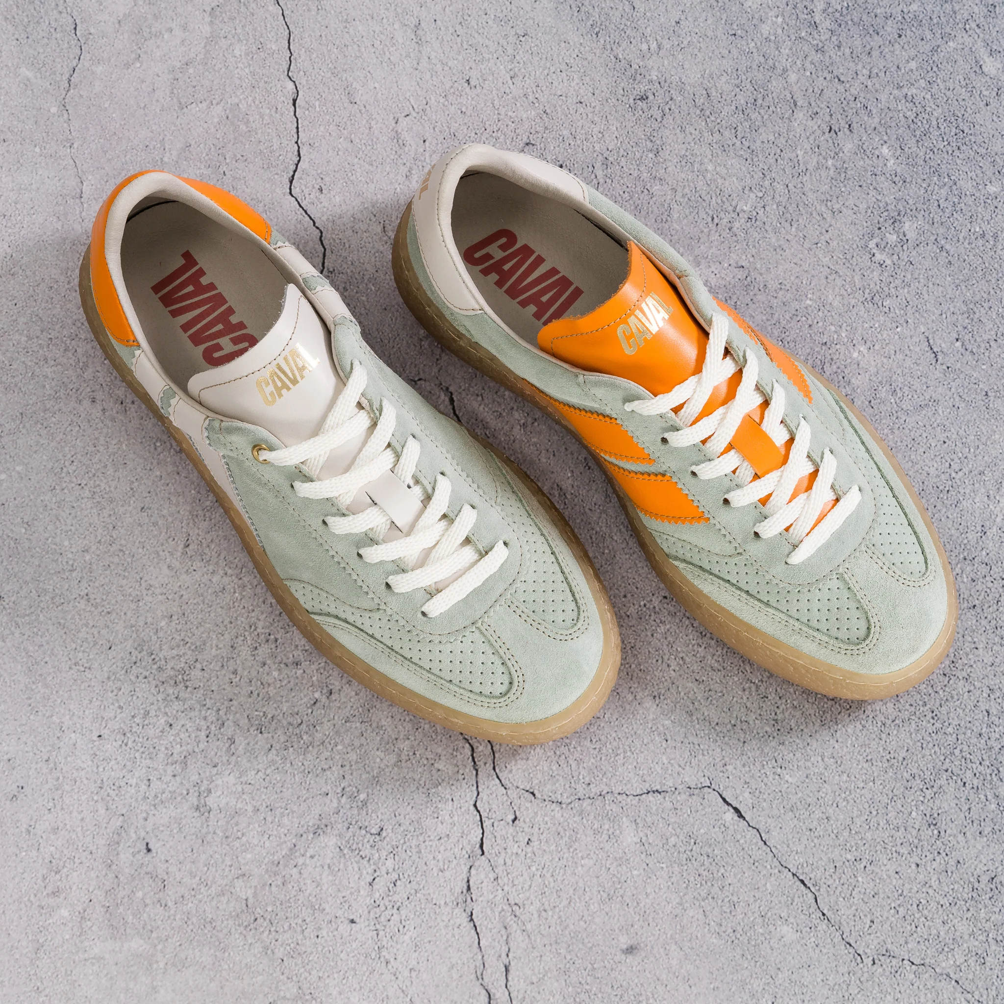 Tropic Zest - Image 8